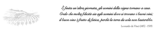 Cit. Leonardo da Vinci