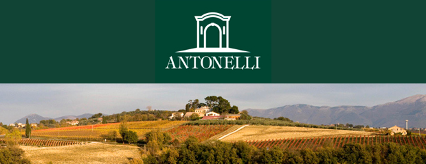 anto987