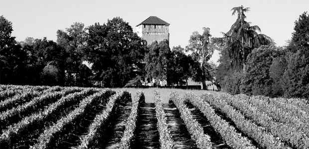 armagnac-domaine-lafitte-noir