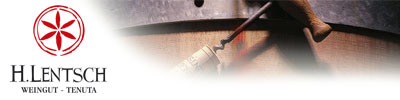banner_oben