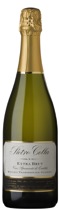 brut2004xxx