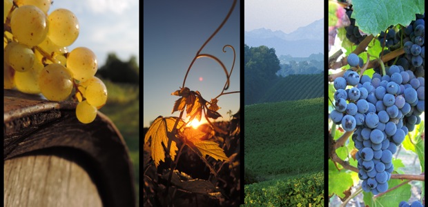 image-terroir-armagnac
