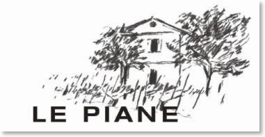 lepiane-logo