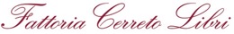 logo raster copia