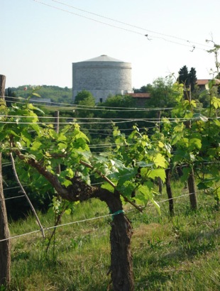 ossario