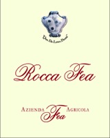 rocca_fea