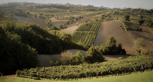 Schermata 2011-06-25 a 01.05.08