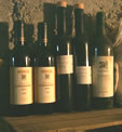 wines_keller_flaschen_11-2000