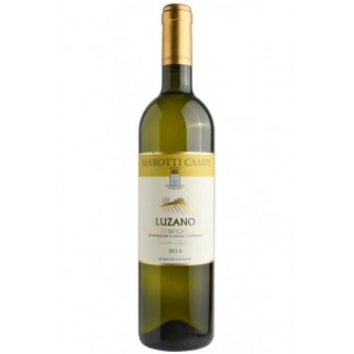 Marotti Campi - Verdicchio di Jesi Luzano (2022)