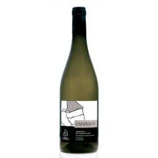 Marca di San Michele - Verdicchio di Jesi Capovolto (2013)