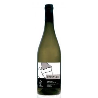 Marca di San Michele - Verdicchio di Jesi Capovolto (2010)