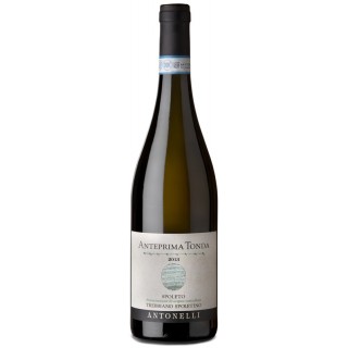 Antonelli - Trebbiano Spoletino Vigna Tonda (2021)