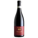 Fattori - Amarone della Valpolicella (2011)