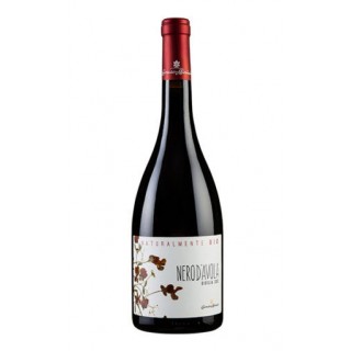 Caruso & Minini - Nero d’Avola Naturalmente Bio (2020)