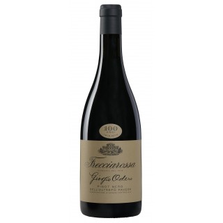 Frecciarossa - Pinot Nero Giorgio Odero (2019)