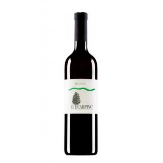 Il Carpino - Malvasia (2019)